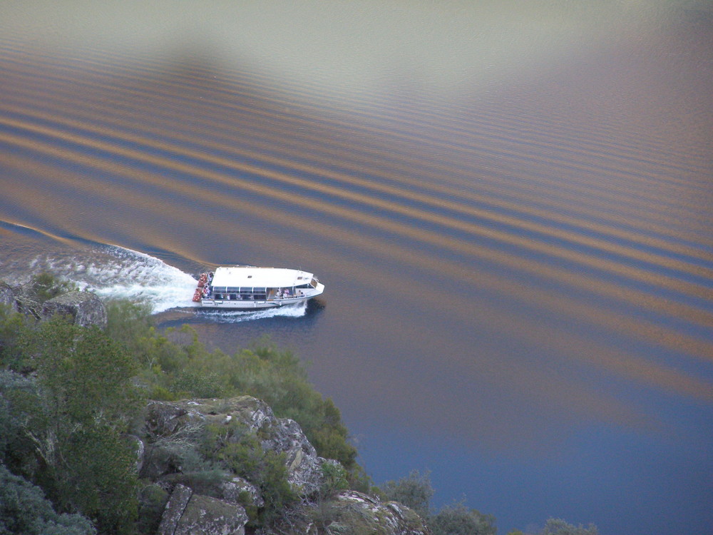 Curioso reflejo