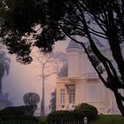 Curitiba's fog