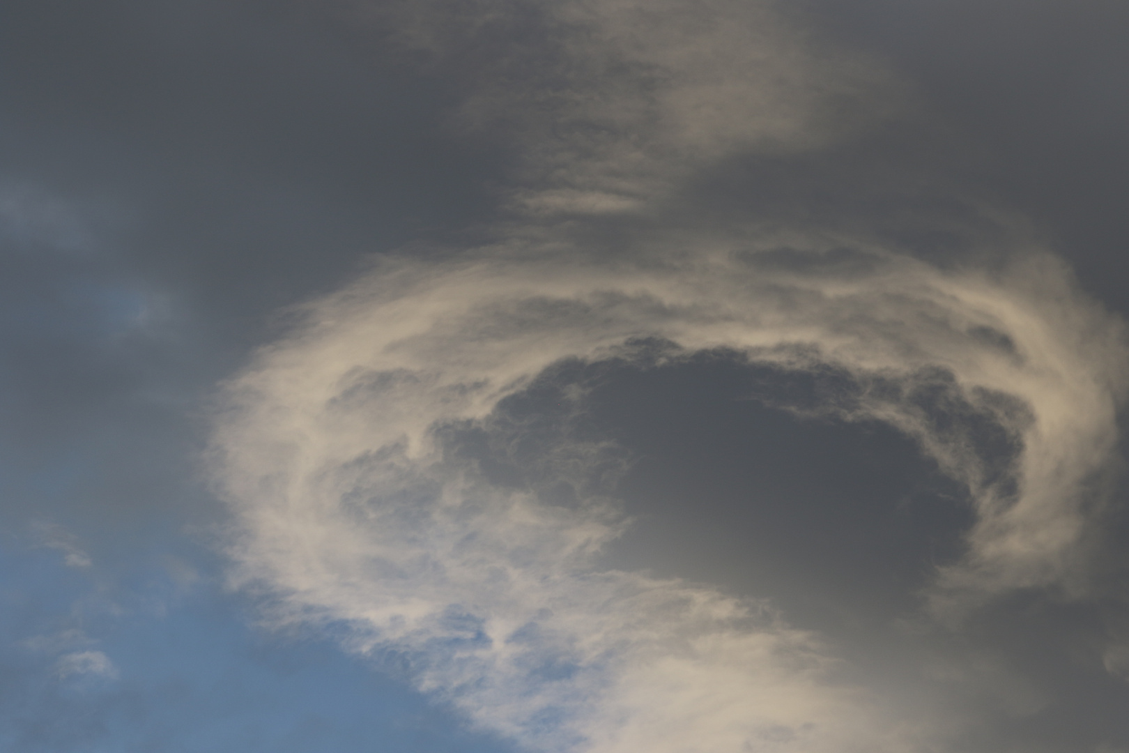 Curly Cloud