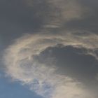 Curly Cloud