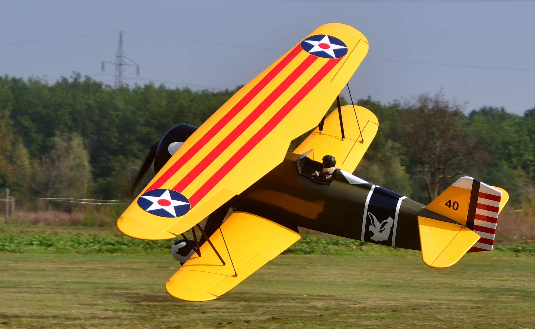 Curtiss P- 6 Hawk