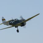 Curtiz P-40 Warhawk