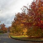 CURVA HACIA EL OTOÑO