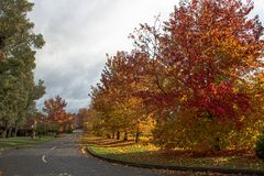 CURVA HACIA EL OTOÑO