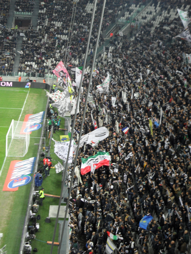 Curva Scirea