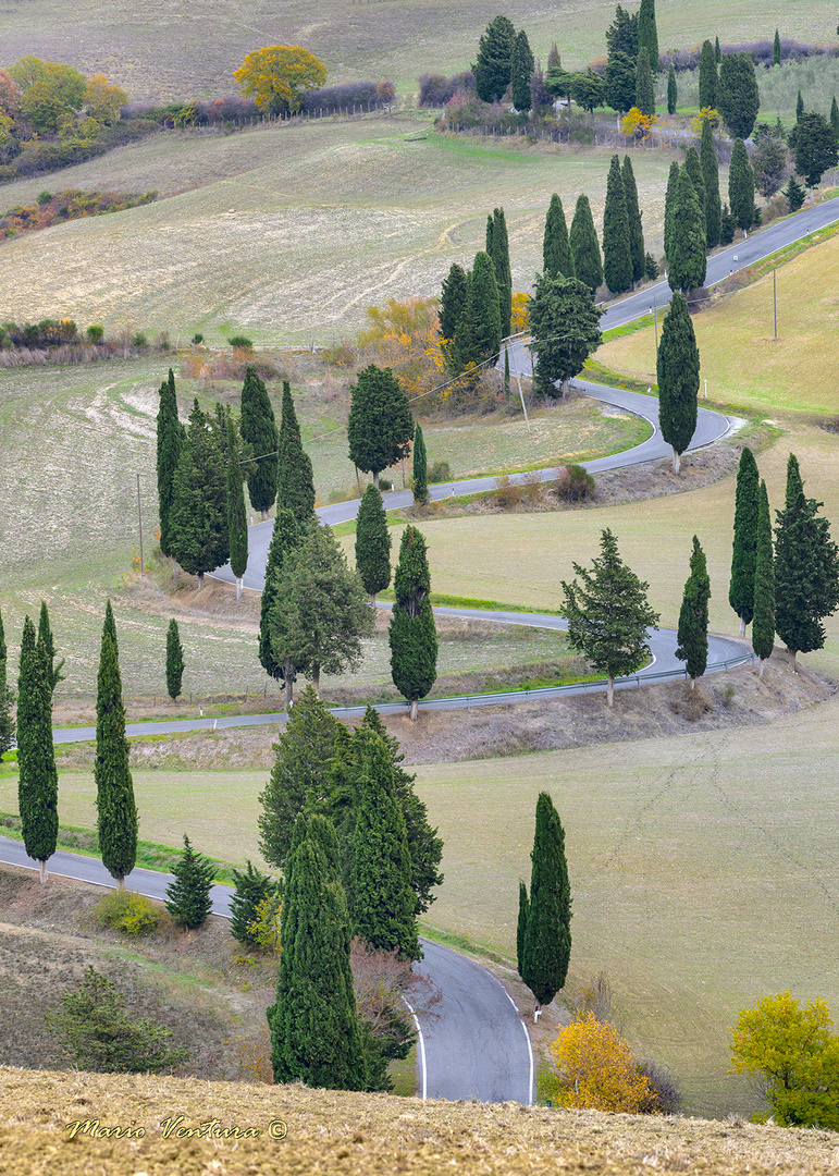 Curve di Monticchiello