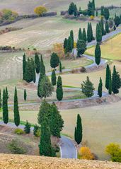 Curve di Monticchiello