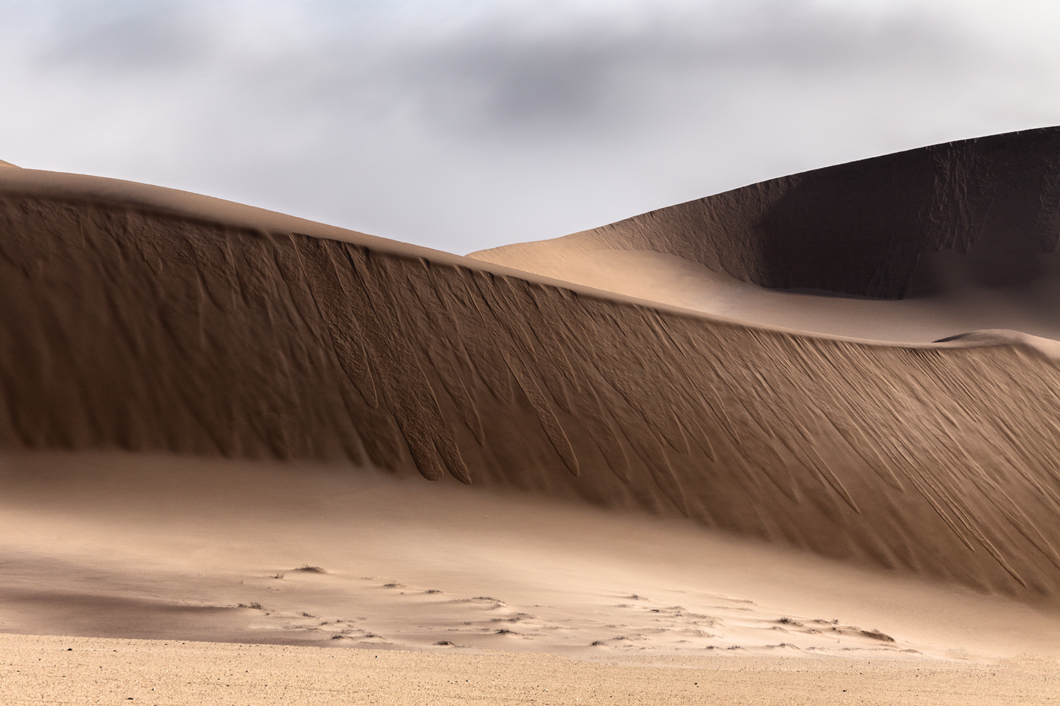 Curves in the Namib Desert (Swakopmund)