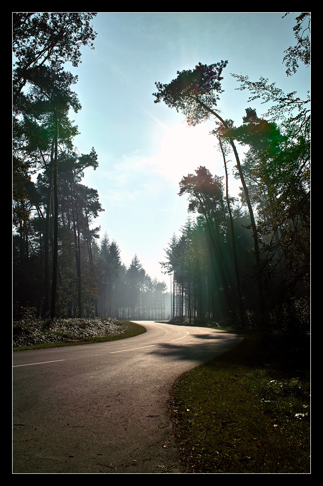 curvy road