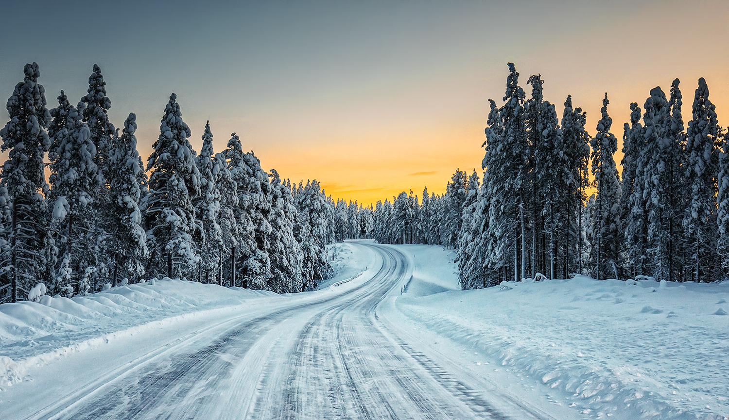 Curvy Winter Road