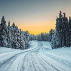 Curvy Winter Road