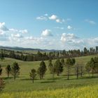 Custer State Park