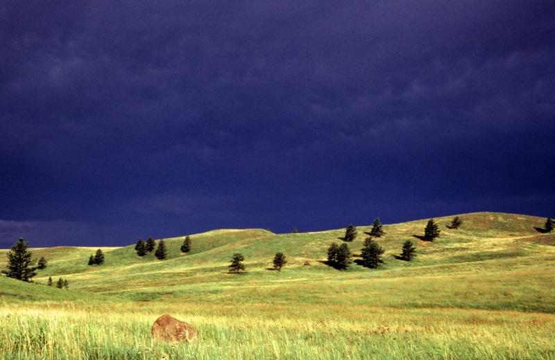 Custer State Park