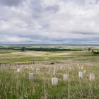 Custer Tombstone