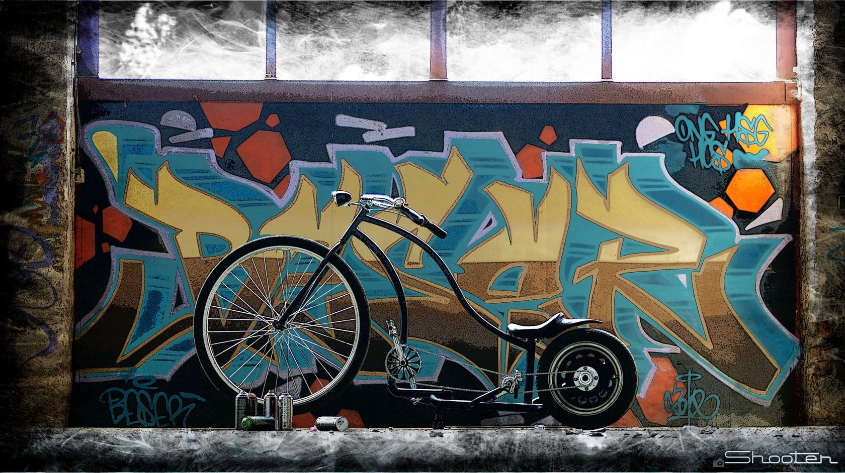 Custom Bike (6)