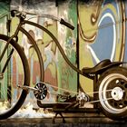 Custom Bike (7)