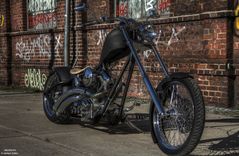 Custom Bike