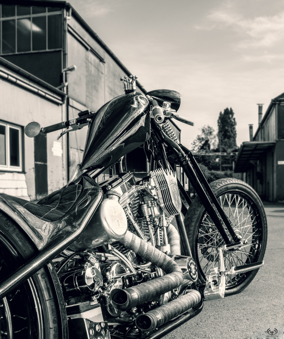 Custombike (KING)