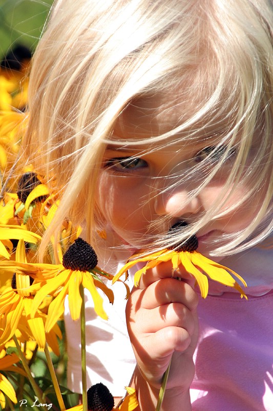 Cute Flowers