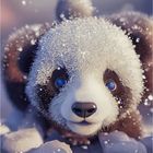 CutePanda