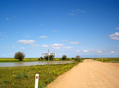 Cuttaburra Crossing