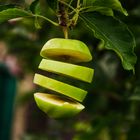 cutted Apple