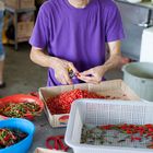 cutting chillies