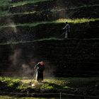 Cutting grass in Palenque ruins, Chiapas, Mexico