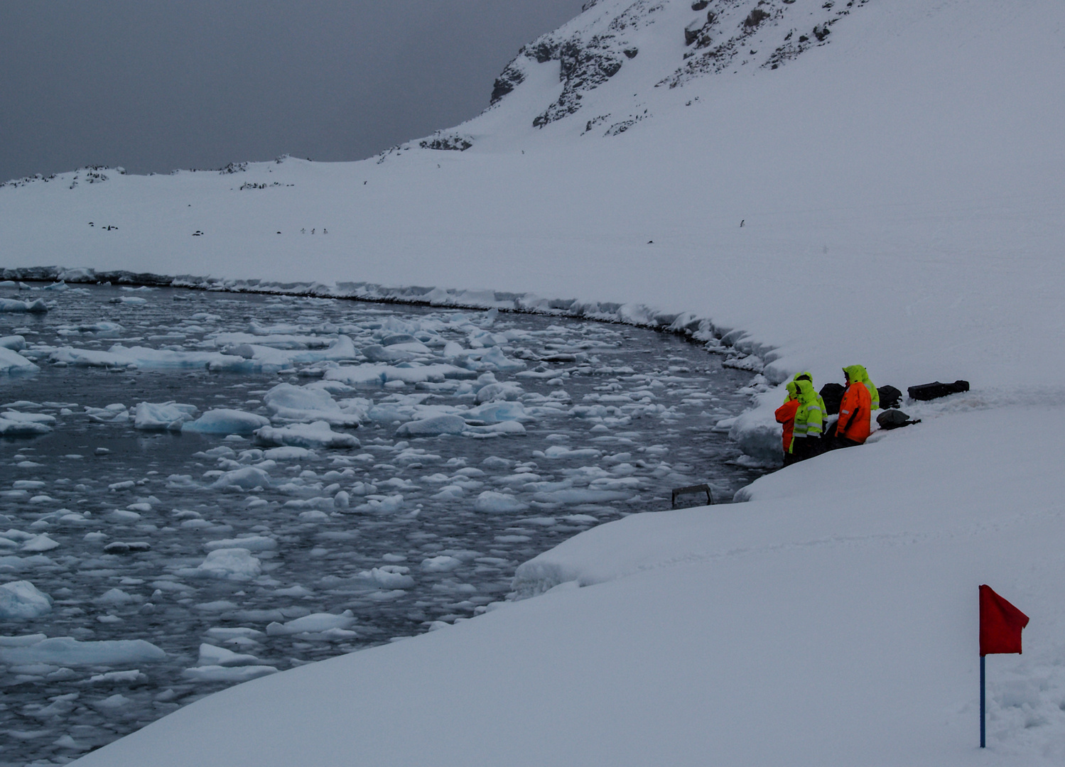 Cuverville Island