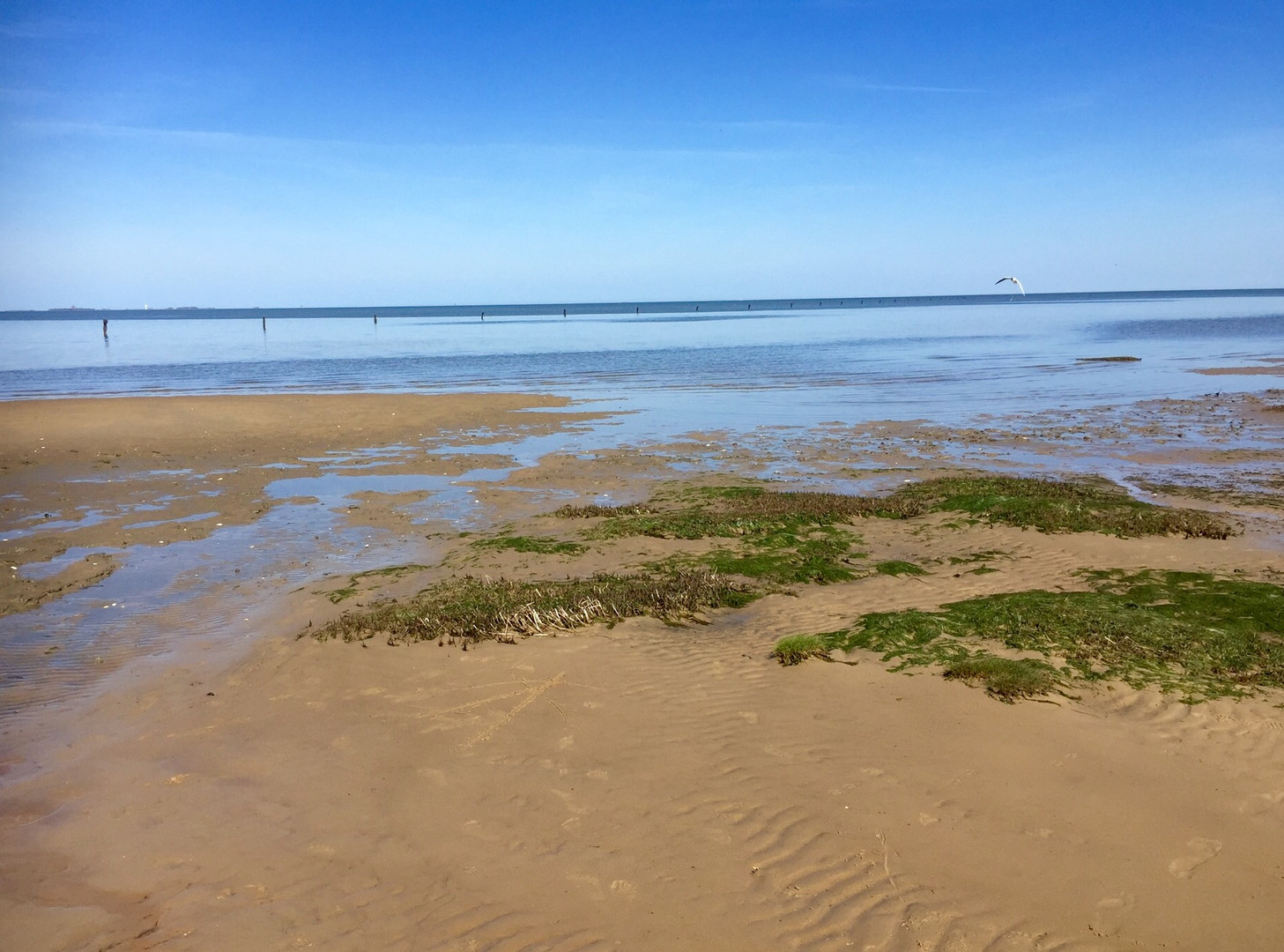 Cuxhafen Wattenmeer 