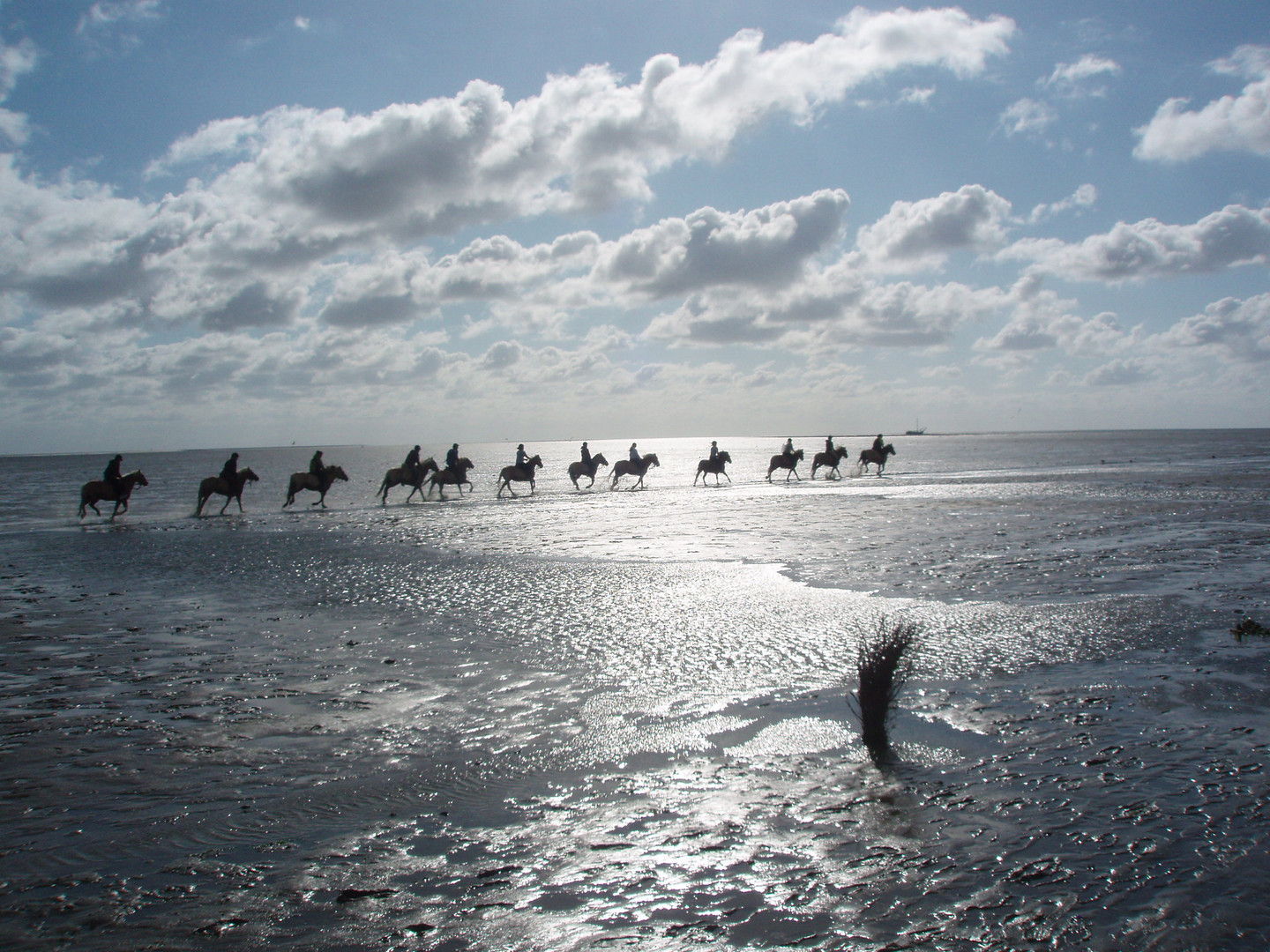 Cuxhaven