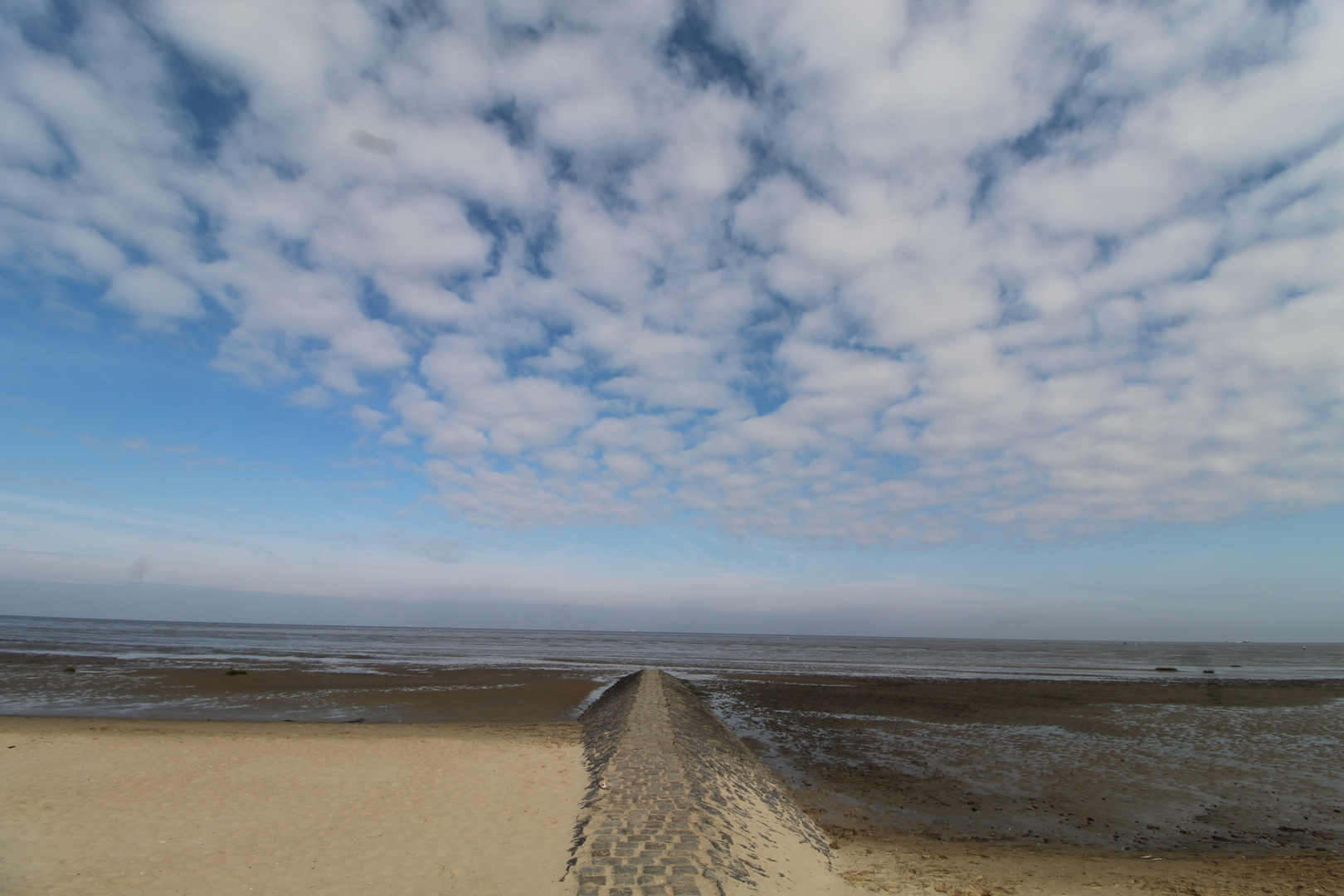 – Dein Weg zum Erfolg und zur Freude!