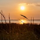 Cuxhaven Dune 