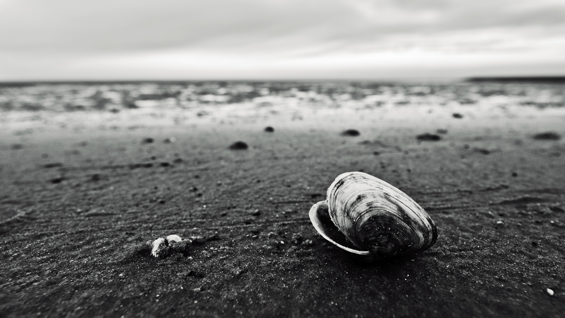 Cuxhaven im Winter, Küste, Strand und Watt