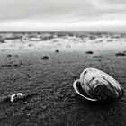 Cuxhaven im Winter, Küste, Strand und Watt