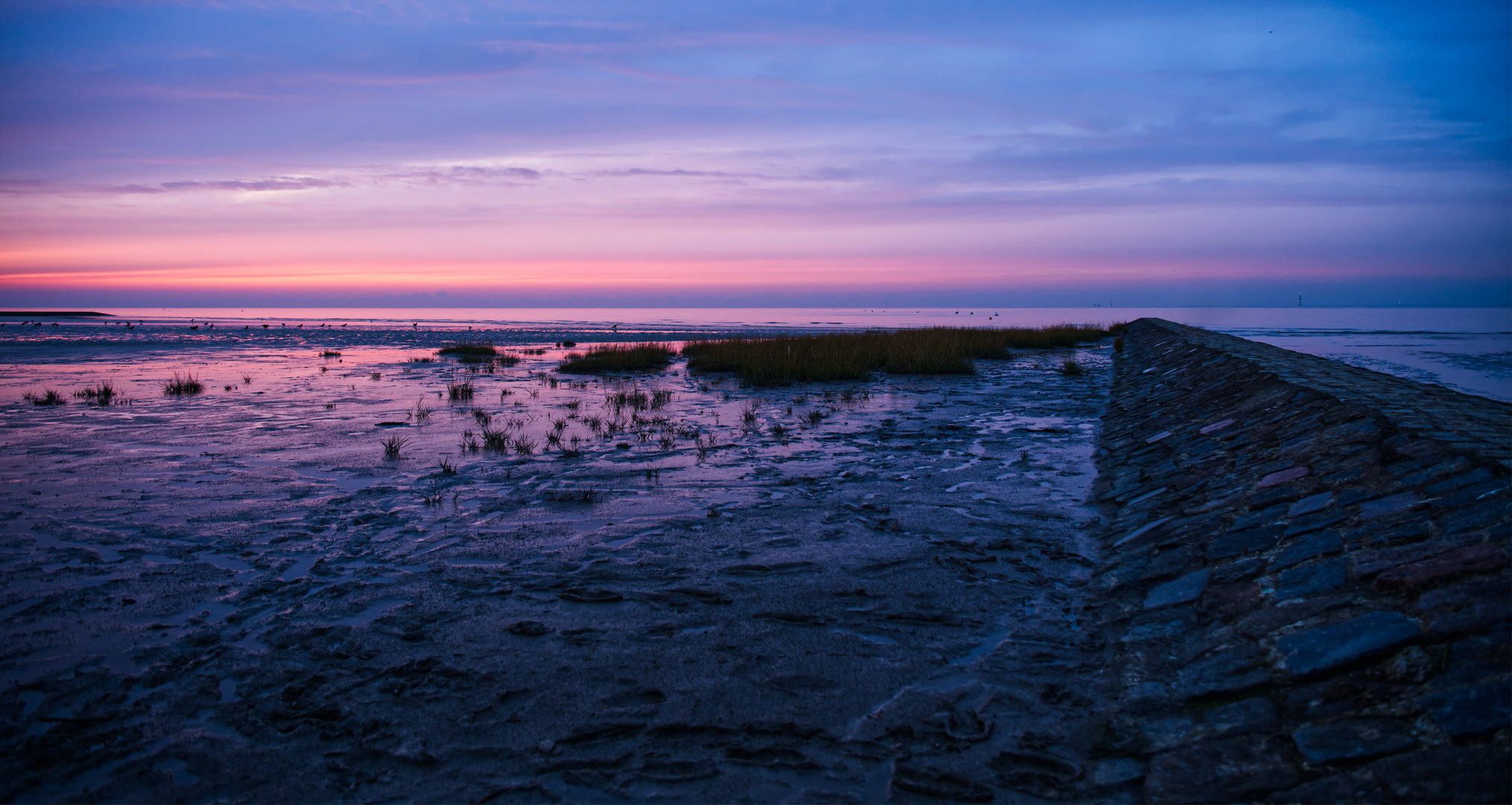 Cuxhaven, nach Sonnenuntergang im Watt