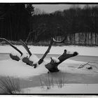 Cuyahoga Valley National Park in Winter