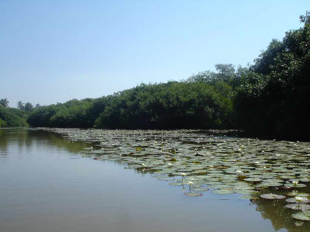 Cuyutlán, Colima, México