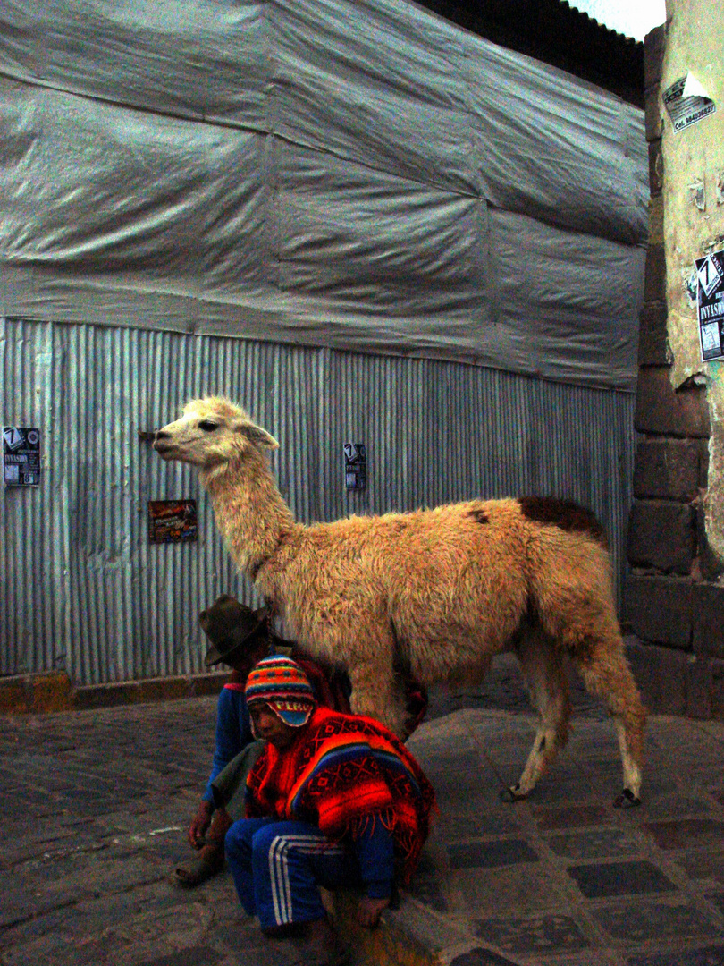 Cuzco city - Street