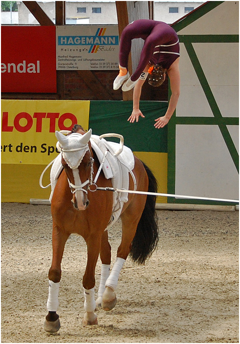 CVI Krumke 2009