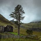 Cwmorthin