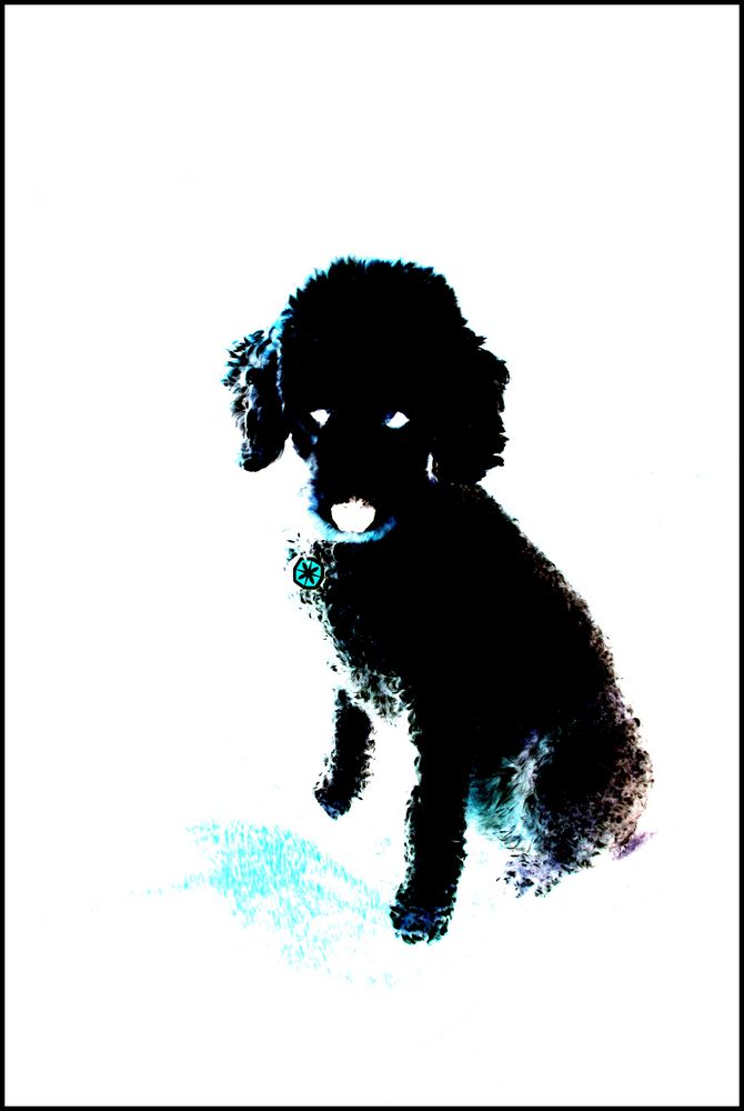 Cyberdog - Der Hund von Morgen von Vanillya Sweet 