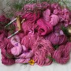 cyclam dyed yarns