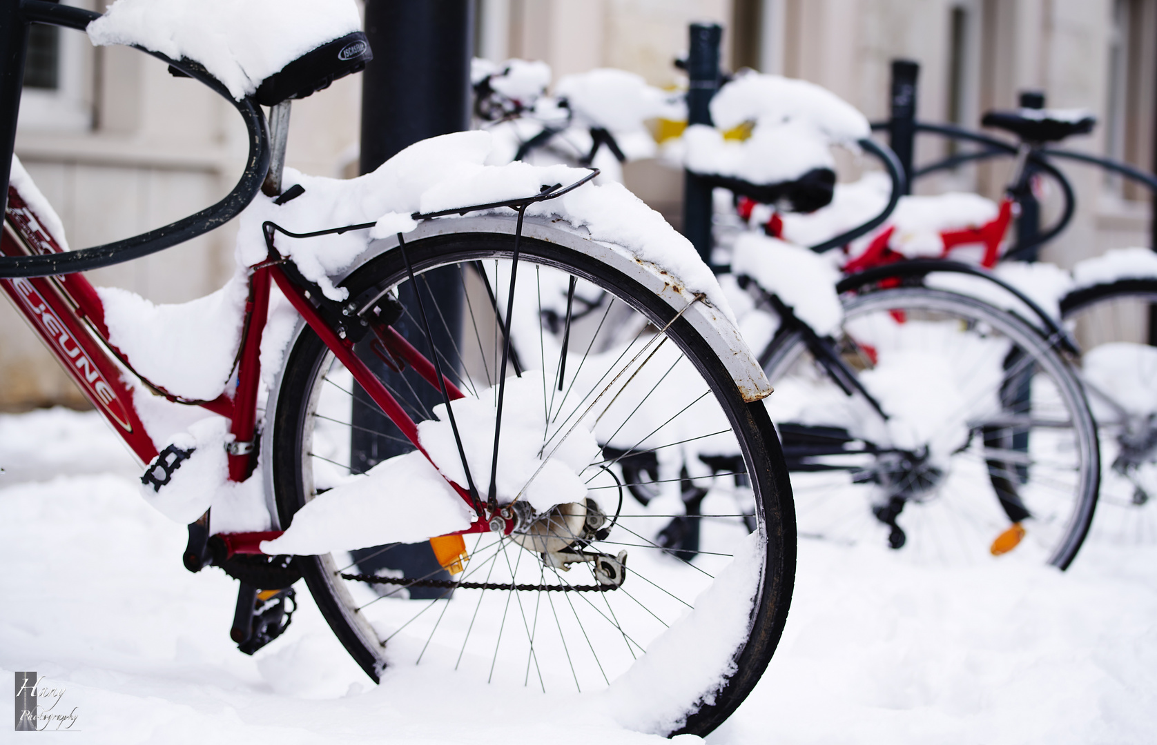 Cycles & Snow