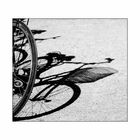 cycle.shadow