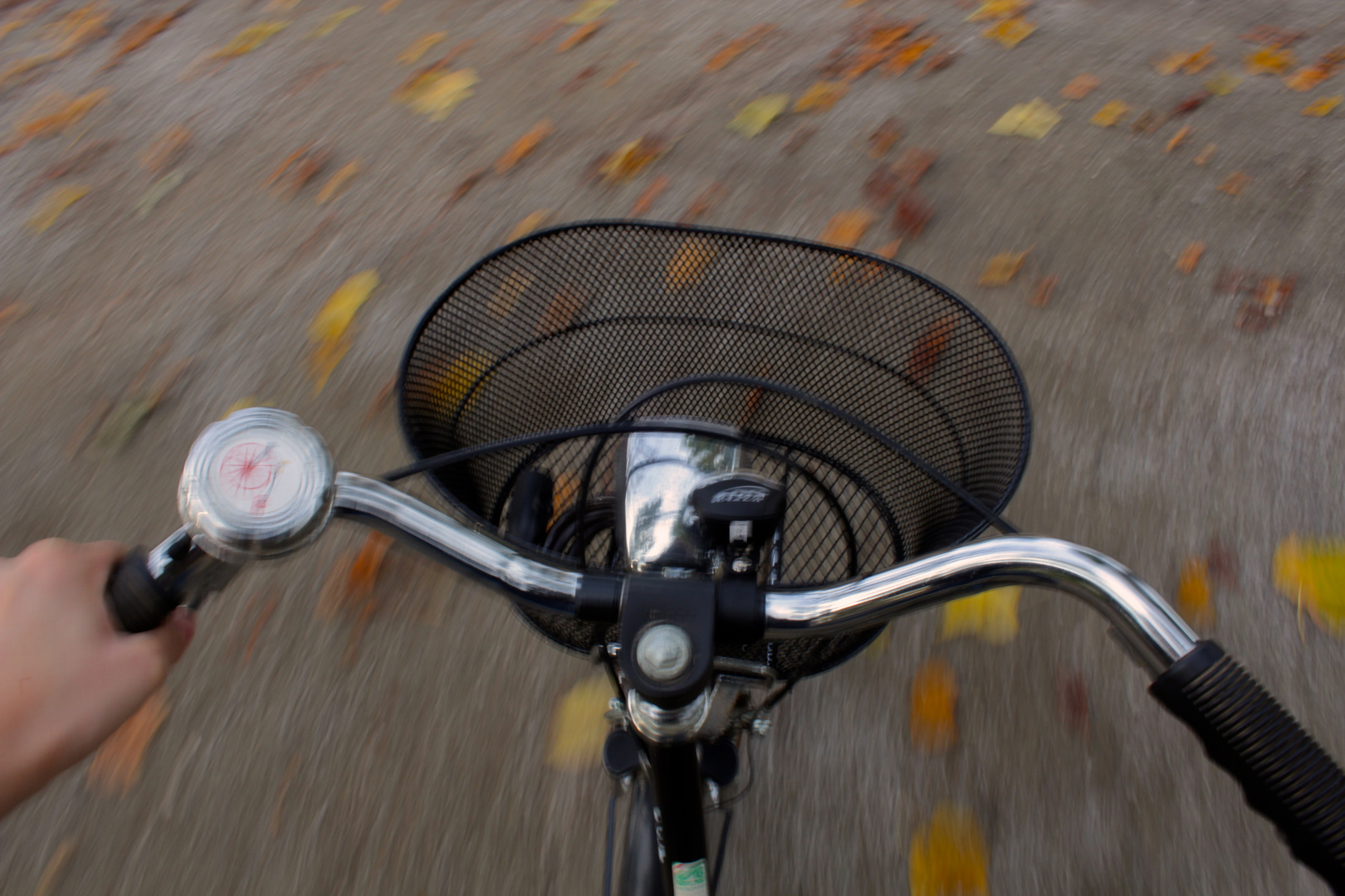 Cycling in autumn