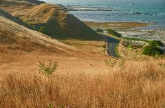 ... cycling in Kaikoura ...