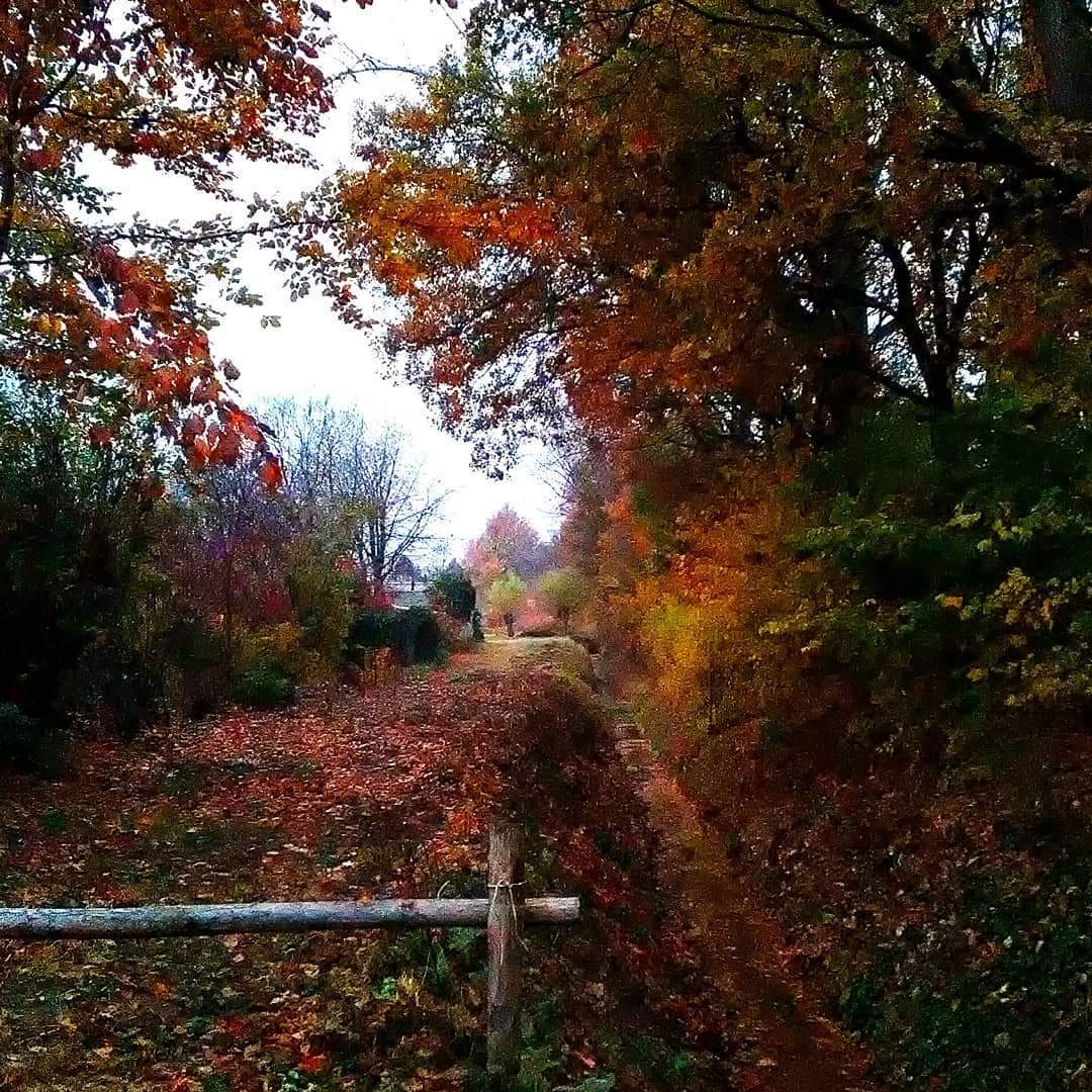 Cycling in the Netherlands 