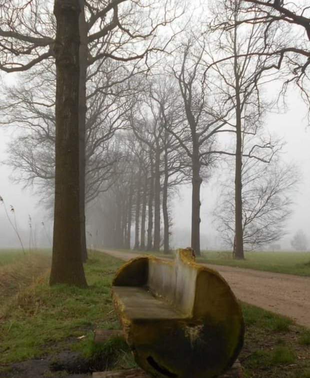 Cycling in the Netherlands 