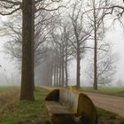 Cycling in the Netherlands 